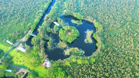 4K Cinematic Drone Orbit Over Black Water Lake in Mangroves Stock Footage 332963255