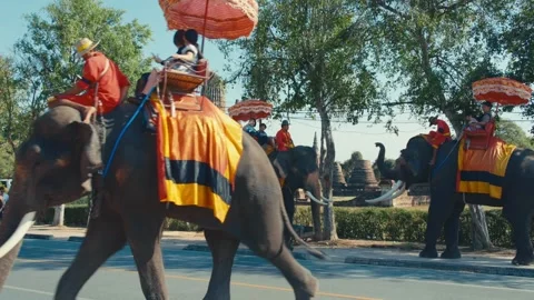 4K Cinematic : Elephant Riding Experience in Ayutthaya Thailand (2) Stock Footage 327373540