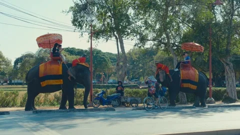 4K Cinematic : Elephant Riding Experience in Ayutthaya Thailand (1) Stock Footage 327376319