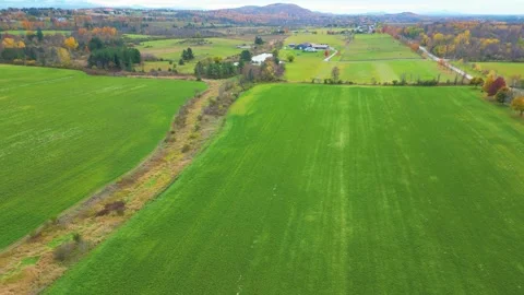 4K Cinematic Green Fields and Farm 動画素材 220295074