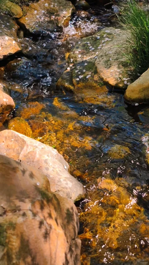 4K Cinematic vertical B-roll footage sunlit crystal rocky stream flow. Stock Footage 307431927