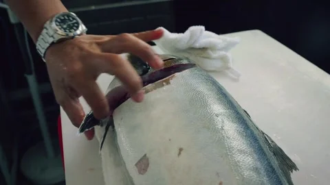 4K cinematic video of chef cutting whole bluefin tuna on kitchen coun Stock Footage 317592484