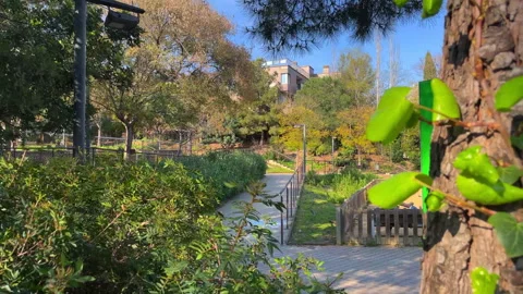 4K City Nature 스톡 동영상 336730192