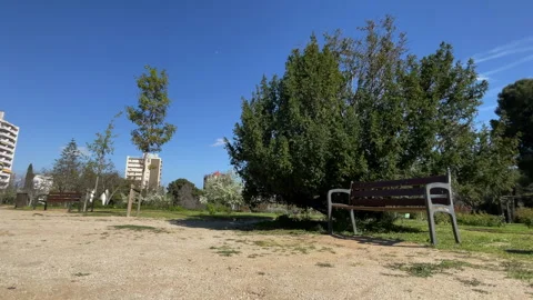 4K City Nature 스톡 동영상 339179534