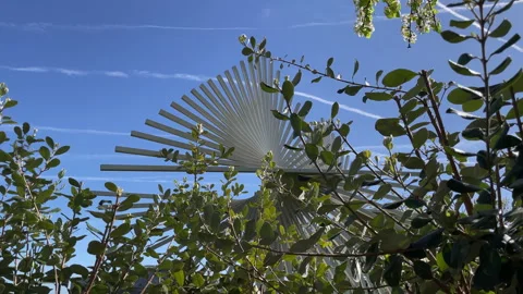 4K City Nature 스톡 동영상 339182775