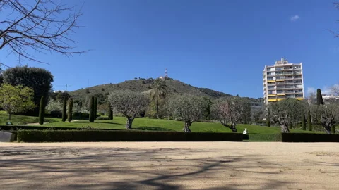 4K City Nature 스톡 동영상 339562676