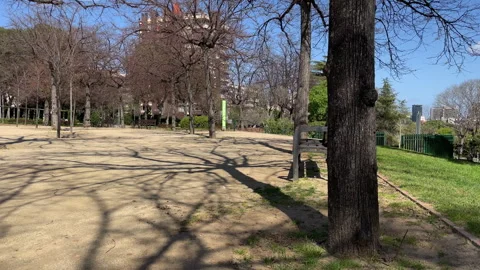 4K City Nature 스톡 동영상 344112132