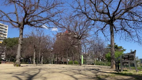 4K City Nature 스톡 동영상 344112159