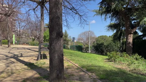 4K City Nature 스톡 동영상 344457262