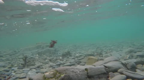 4K clear water grey pebbles, clean underwater footage Stock Footage 47196674