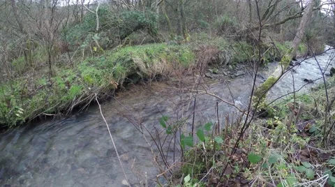 4K clear water in a little stream filmed on a autumn day, bushes and trees Stock Footage 45772736