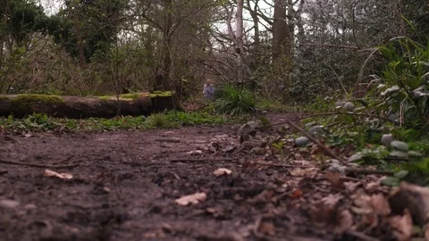 4K clip of Active Young Man Running In Forest In The Sunny Day. Stock Footage 90379313