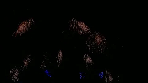 4K clip Beautiful Firework display Video stock 239625331