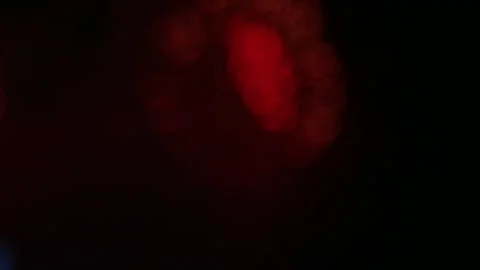 4K clip Beautiful Firework display Stock Footage 342300055
