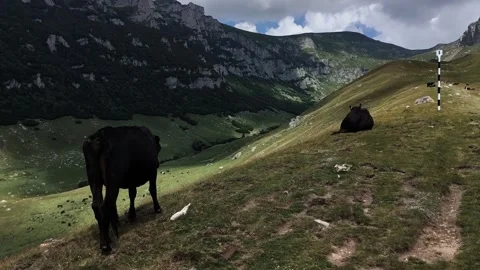 4k clip with Bucegi Mountains Видео 247958252