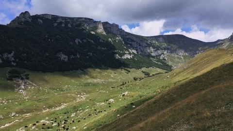 4k clip with Bucegi Mountains Видео 247958276
