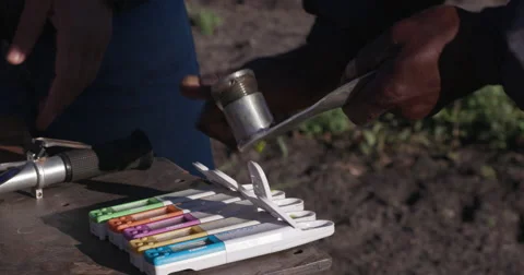 4K close-up of Agronomist/farmer checking nutrient levels in the vegetable Stock Footage 64695531