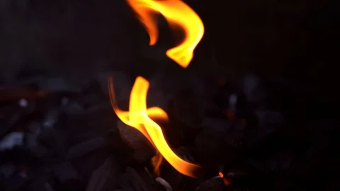 4K. Close-up burning coals in barbecue grill. Bonfire.Burning fire in fireplace Stock Footage 130144065