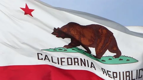 4K Close Up of the California State Flag Stock Footage