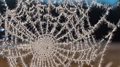 4K Close Up of Delicate Hoarfrost Ice Crystals on Spider Web Pattern Stock Footage 328535904