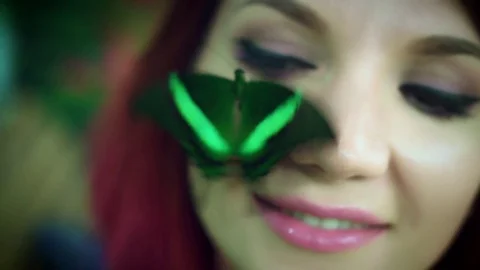 4k Close-up Emerald Swallow Tail Butterfly on Face Stock Footage 76623480