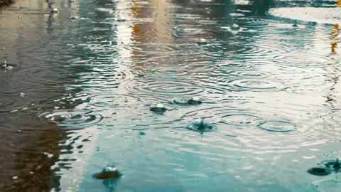 4K close-up footage of raindrops falling and making water rings in puddles Stock Footage 155163246