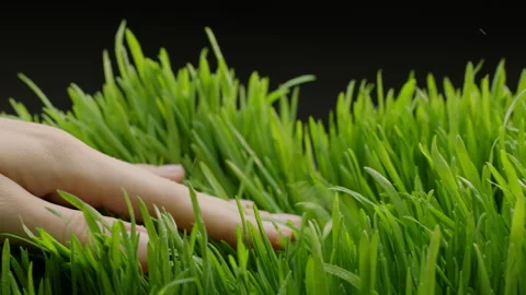 4k close up front side footage of a woman's hand glides across green grass Stock Footage 271318943