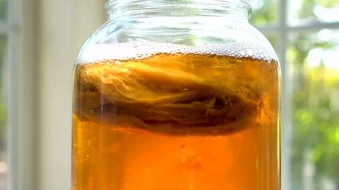 4K Close up of kombucha scoby floating in the glass jar Vidéo 92503430