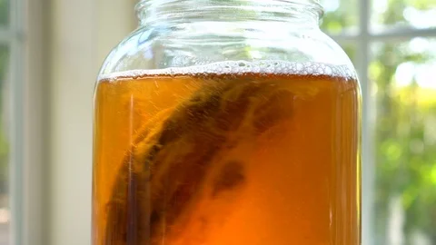 4K Close up of kombucha scoby floating in the glass jar Stock Footage 92507139