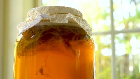 4K Close-up of Kombucha Starter Tea with Scoby in a Jar Stock Footage 90734393
