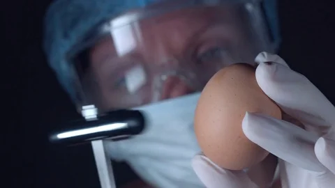 4K Close-Up Lab Scientist Examining an Egg Stock Footage 73051983