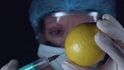 4K Close-Up Lab Scientist Injecting a Lemon Stock Footage 73060196