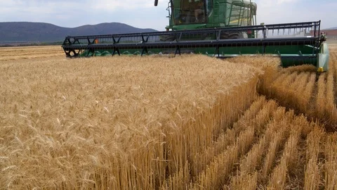 4K close-up low angle front view of the pickup reel on a combine harvester Stock Footage 102755900