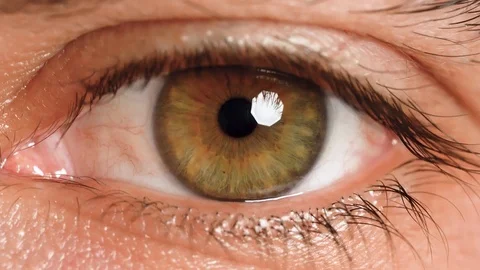 4K Close Up Macro Hazel Eye Blinking Smiling Stock Footage 101202670