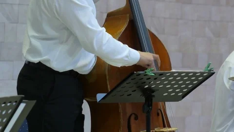 4k Close up of a man playing on cello on the stage. Video stock 77569562