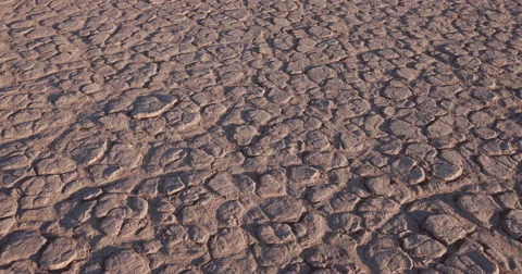 4K close-up moving shot of dried cracked mud inside the Namib-Naukluft Park Stock Footage 64696575