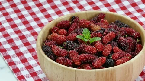 4K Close up Mulberry Video stock 103797060