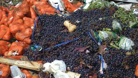 4K close-up shameful view of fruit and vegetables that have been dumped at a Stock-Footage 104706332