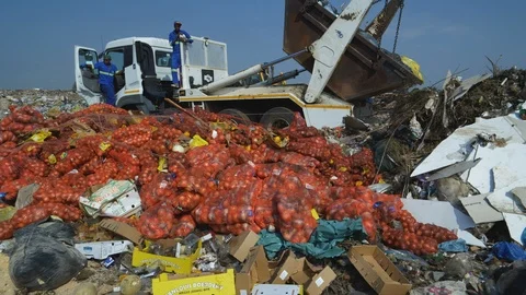 4K close-up shameful view of pockets of vegetables that have been dumped at a Stock Footage 104738157