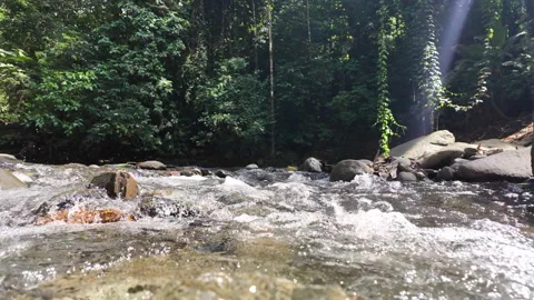 4K Close Up Shot Pulling Back Of Water Flowing Over Rocks In Rainforest River Stock Footage 285871892