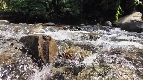 4K Close Up Shot Pushing Toward Water Flowing Over Rocks In Rainforest River Stock Footage 285871729