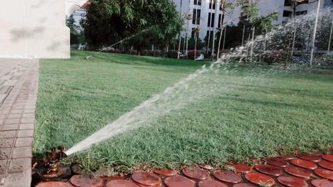 4K close up slow motion shot of sprinkler system spraying water onto grasses Video stock 102573437