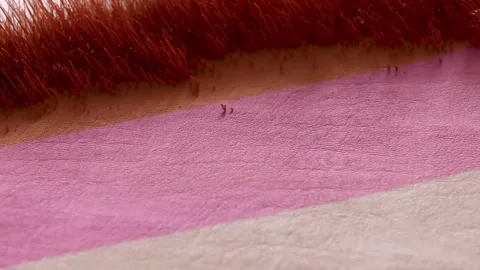 4K Close Up Of Textile Sculpture From Specimens Series Lorenzo Nanni Видео 339268428