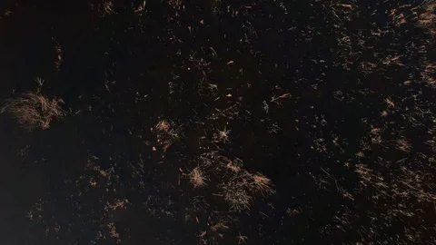 4k close up top down view moss texture background drone rising above water  Stock Footage 96238426