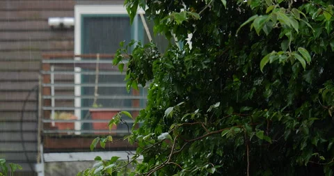 4K CLOSE UP OF TREE IN THE RAIN WITH HOUSE BALCONY IN THE BACKGROUND Video stock 131128342