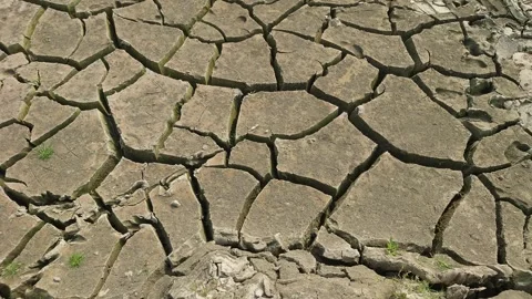 4K Close View of Dehydrated Soil with Cracks and Sparse Grass Growth Stock Footage 311588528