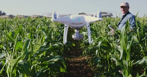 4K close-up view of a modern farmer monitoring his vegetable crop with a drone Stock Footage 95364331