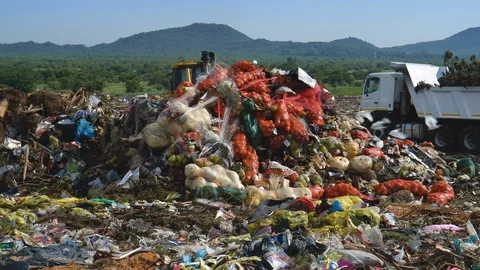 4K close-up view of pockets of vegetables that have been dumped on landfill dump Vídeos de archivo 102772916