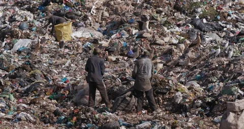 4K close-up view of poor people below the poverty line scavenging or food Stock Footage 105565672