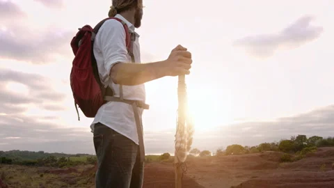 4k close up of walking stick in desert mountain terrain at sunset. Stock Footage 199619269